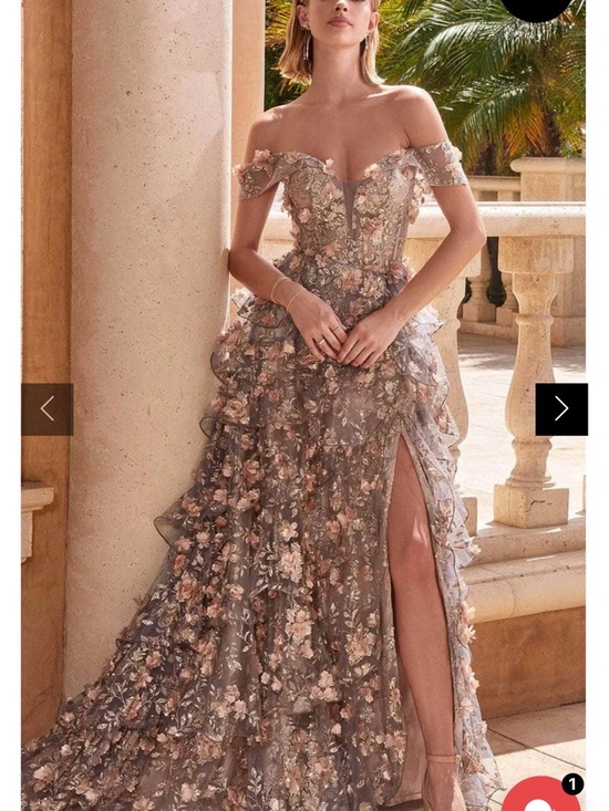 Ladevine Dresses & Skirts - Size 6 Ladevine CC5299 - 3D
Floral Embellished Off-Shoulder
Ball Gown